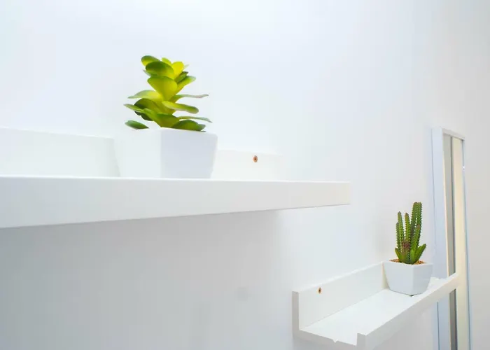 Daire Cantinho Flores I